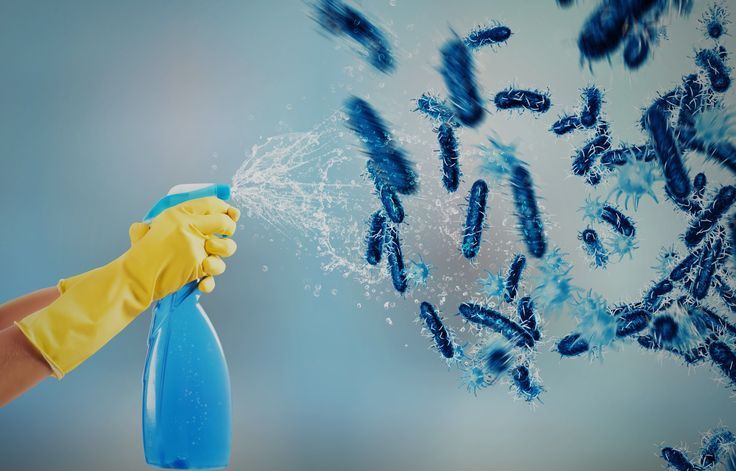 disinfection service image